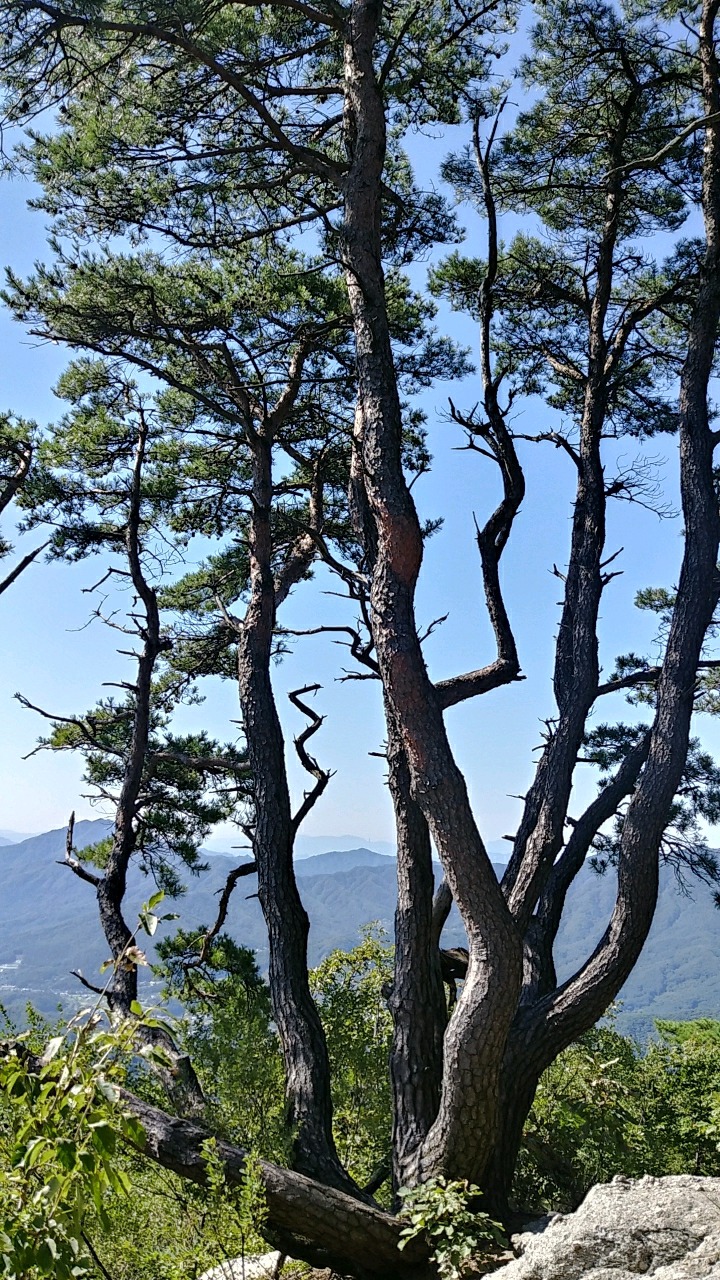 원주어물 이미지