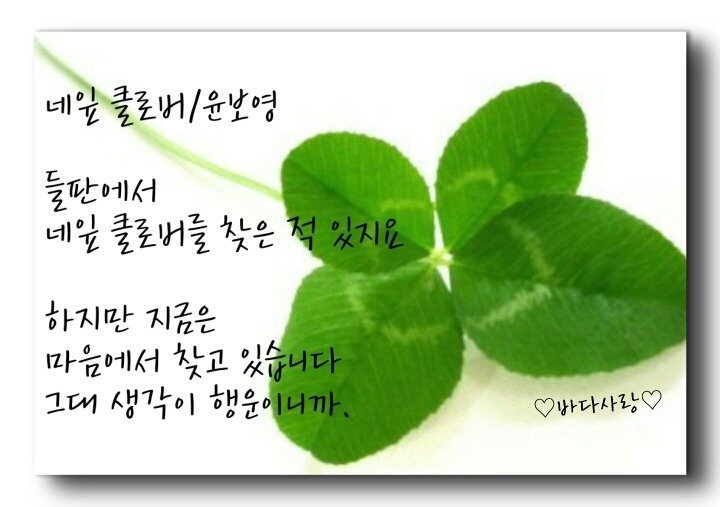 동그라미커피 이미지