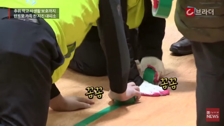 포항 지진대피소에 텐트 설치하던 날 | 인스티즈