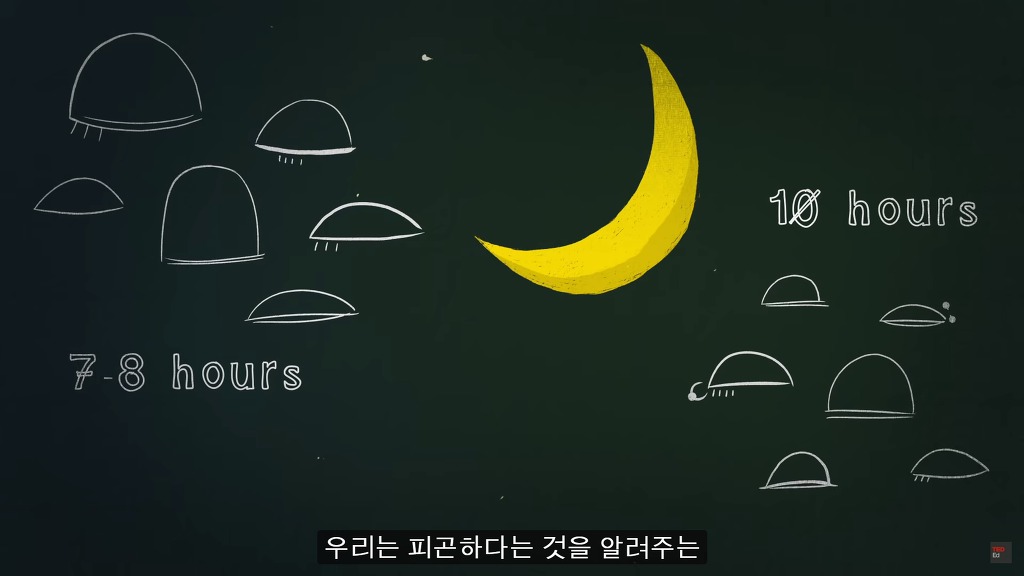 잠을 자지않는다면 우리몸에 어떠한 변화가 일어날까?.JPG | 인스티즈