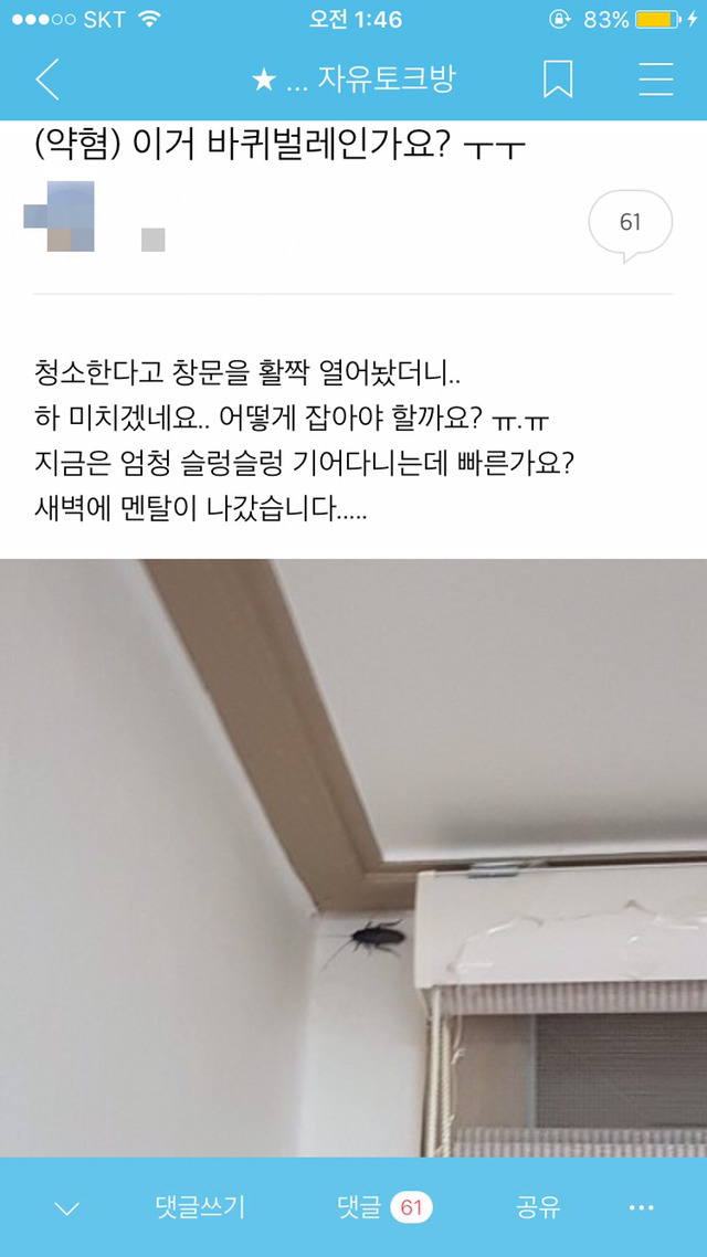 집에 바퀴가 들어온 어떤 사람 | 인스티즈
