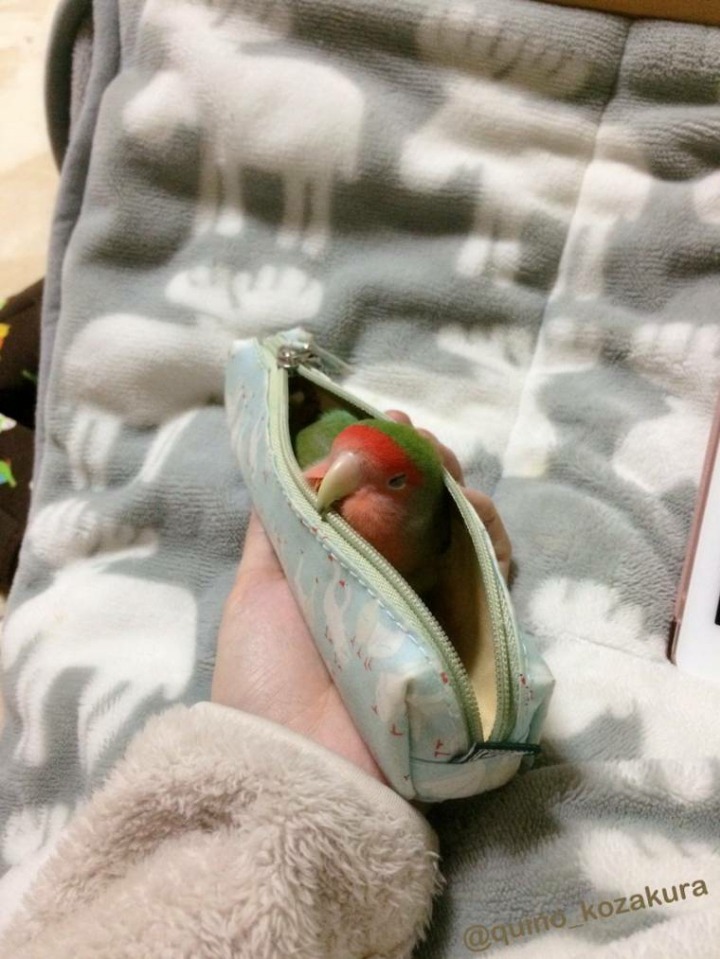 필통 속으로 쏙 | 인스티즈