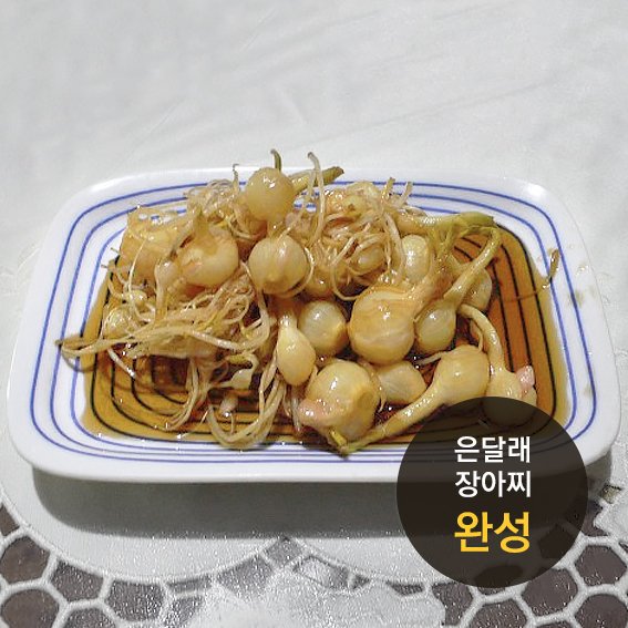 은달래 이미지