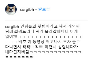 인싸템이 싫은 백호.jpgif | 인스티즈