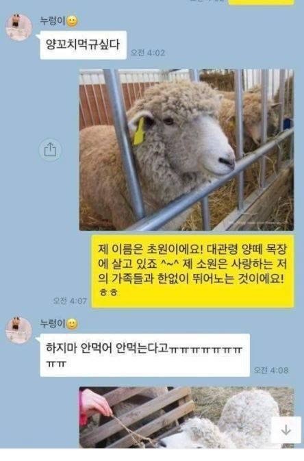 ??: 제 이름은 초원이에요! | 인스티즈