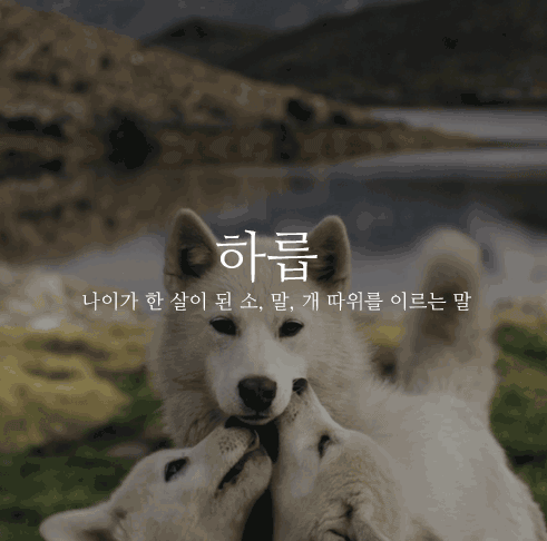잘 모르는 이쁜 우리말1.gif | 인스티즈