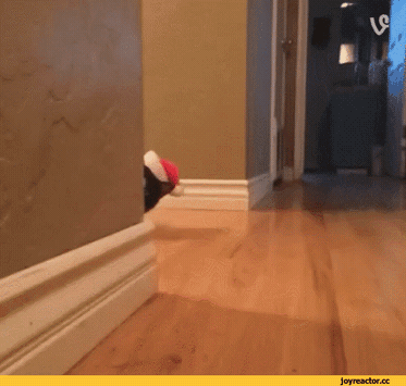 크리스마스 고 머고 힘들다냥~ㅎ | 인스티즈