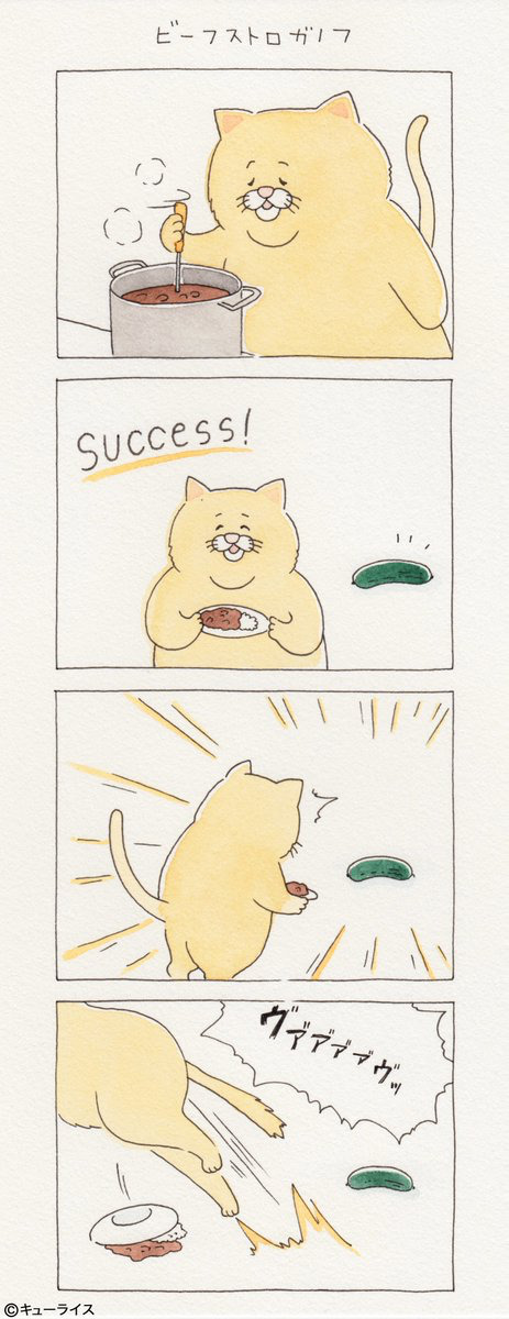 뭐든지 안 되는 고양이 시리즈.jpg | 인스티즈