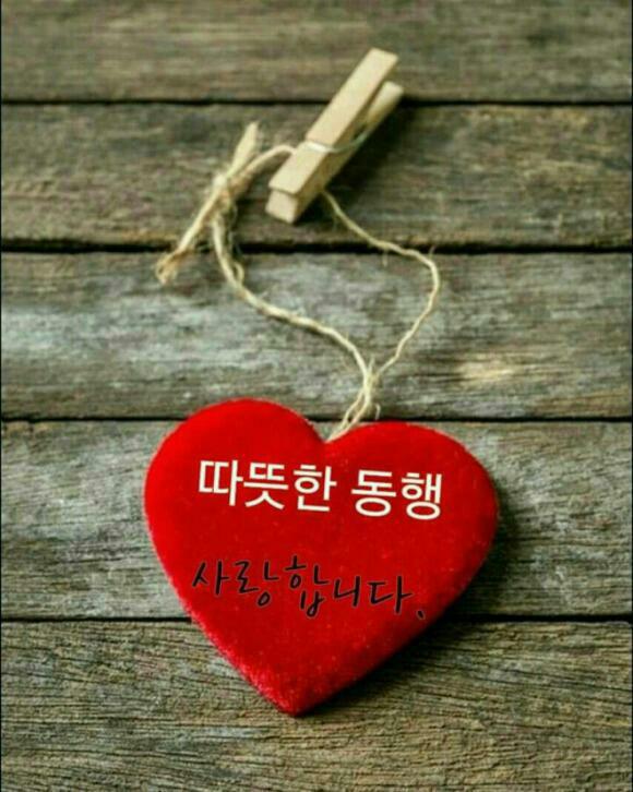 홍원 이미지