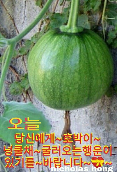 좋은소식 이미지