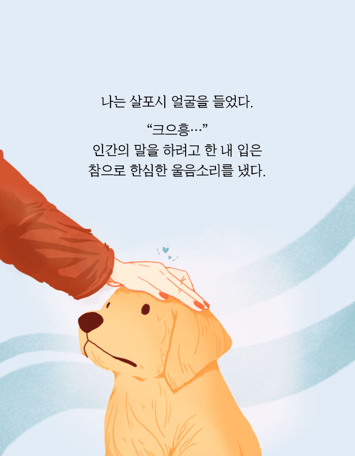 [책소개] 개의 모습으로 인간 세계에 내려온 저승사자 | 인스티즈