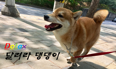무고죄 레전드 | 인스티즈