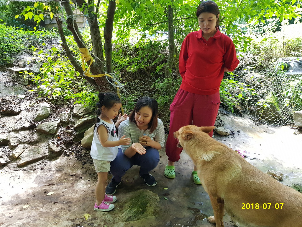 춤추는염소 이미지