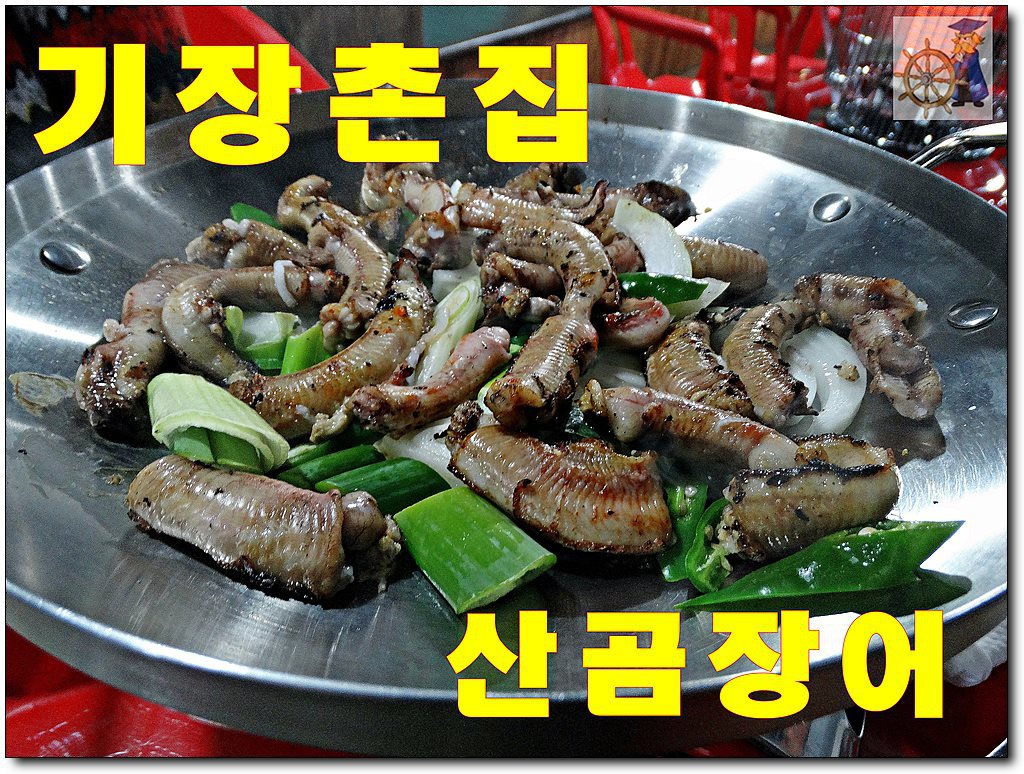 살아있네산곰장어 이미지