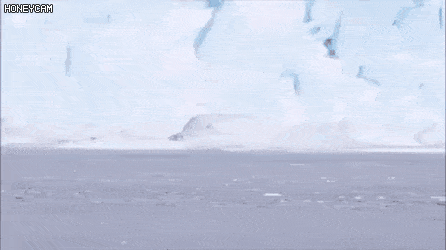 펭귄 유치원 가는 아기 펭귄들 | 인스티즈