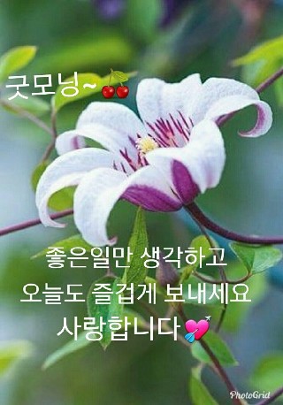 성당초등학교 이미지