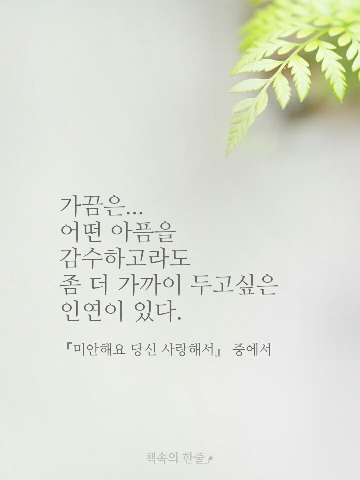 샤브작 이미지