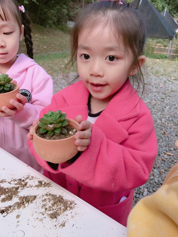 자연나라 이미지