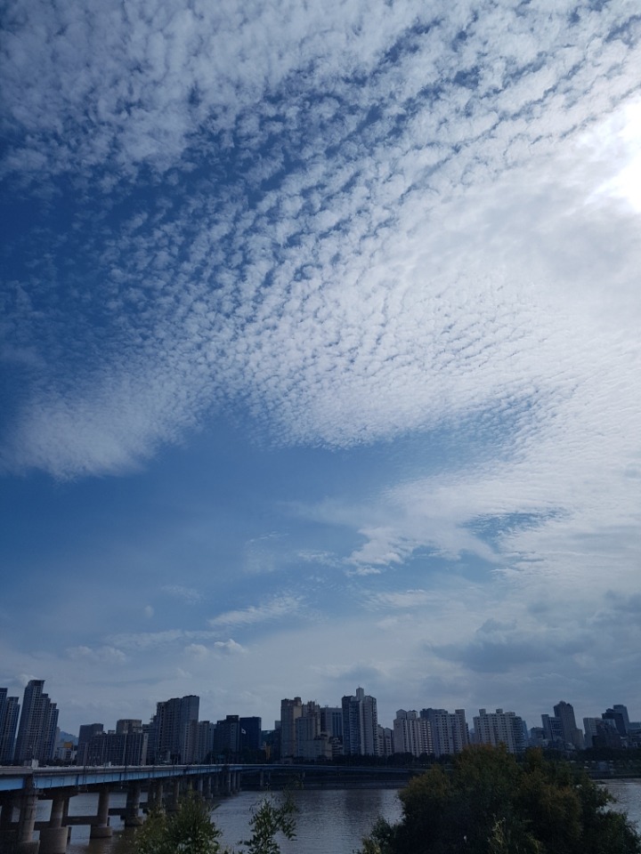 구르미 이미지