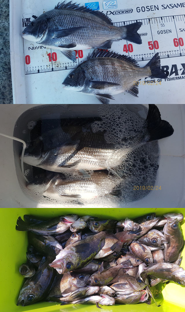 순천대물낚시 이미지