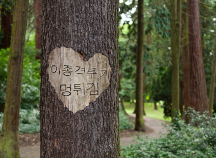 "40년 우정" 최순실,박근혜 40년 전 사진에 MB 등장 | 인스티즈