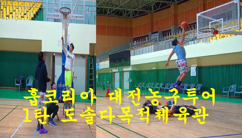 도솔다목적체육관 이미지