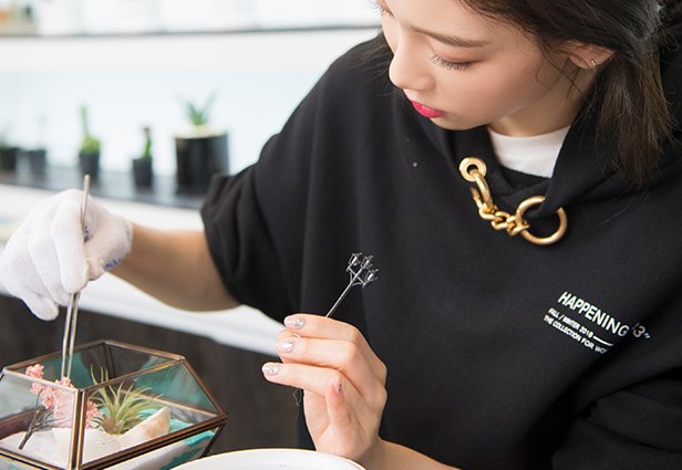 99E7903B5CC48DFF2B732A