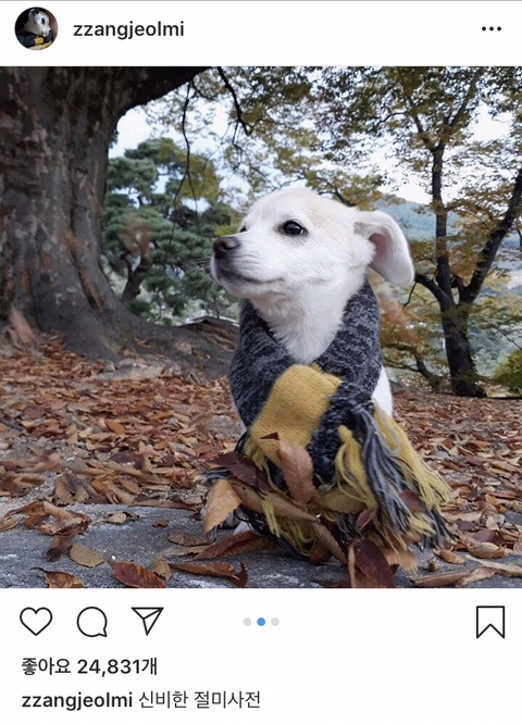 가을 분위기 좀 아는 짱절미 | 인스티즈