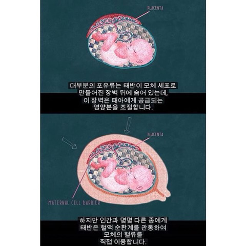 생리는 임신과 출산을 준비하기 위해 하는 것이다 | 인스티즈