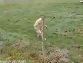 화장실에서 휴지 없을때.gif | 인스티즈