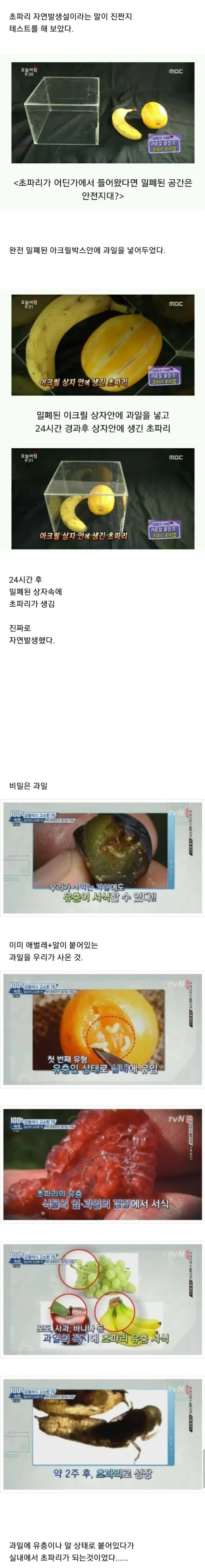 초파리가 저절로 생겨나는 이유.jpg | 인스티즈