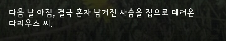 다리 다친 아기사슴을 구해주면 생기는 일 | 인스티즈