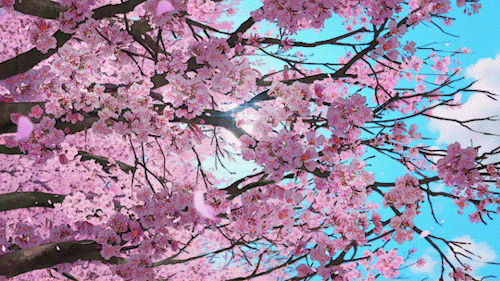 작화 좋다고 유명한 일본 애니메이션 제작사 TOP3 (움짤多) | 인스티즈