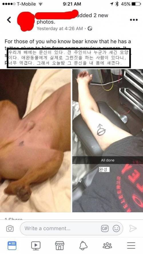 강아지와 같은 문신을 새긴 남자.jpg | 인스티즈