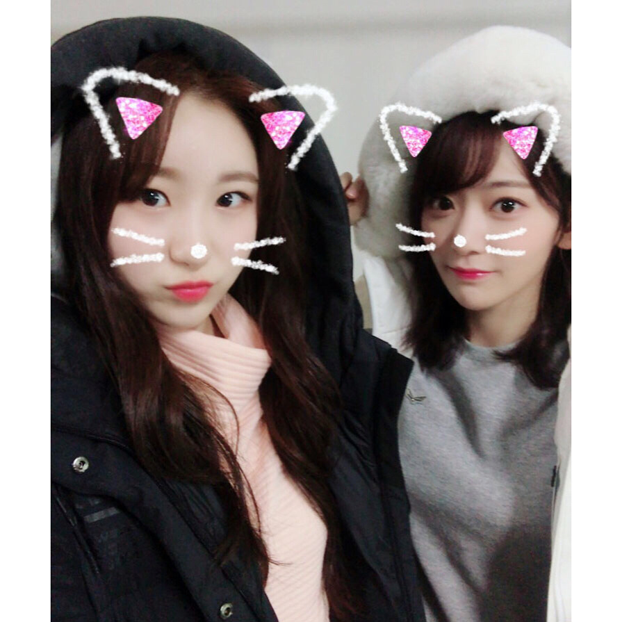 [아이즈원] 공식 인스타 업데이트(Feat.채연, 사쿠라) | 인스티즈