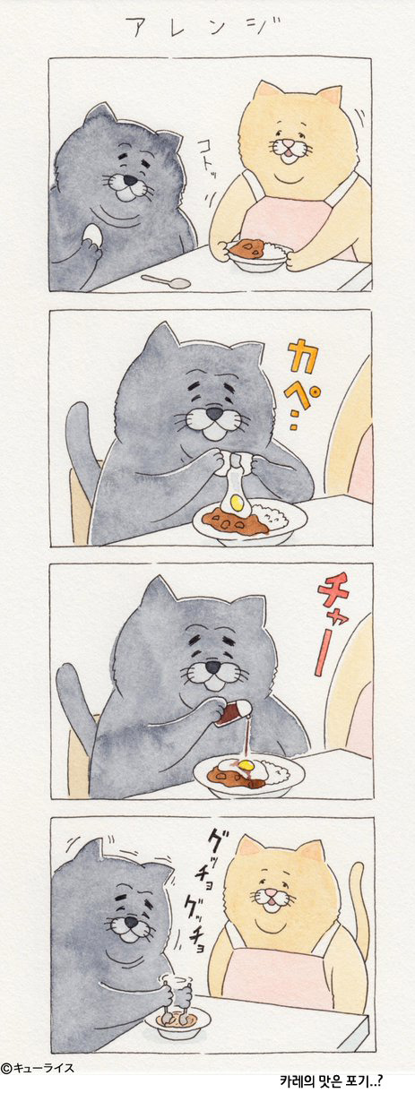 유감스러운 고양이 -2- | 인스티즈