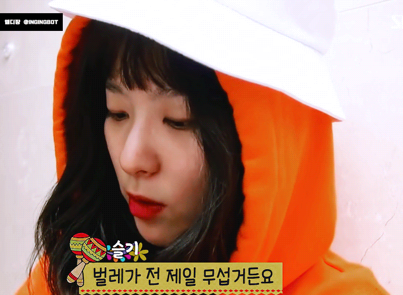 정글가기전에 짐싸는 슬기.gif | 인스티즈