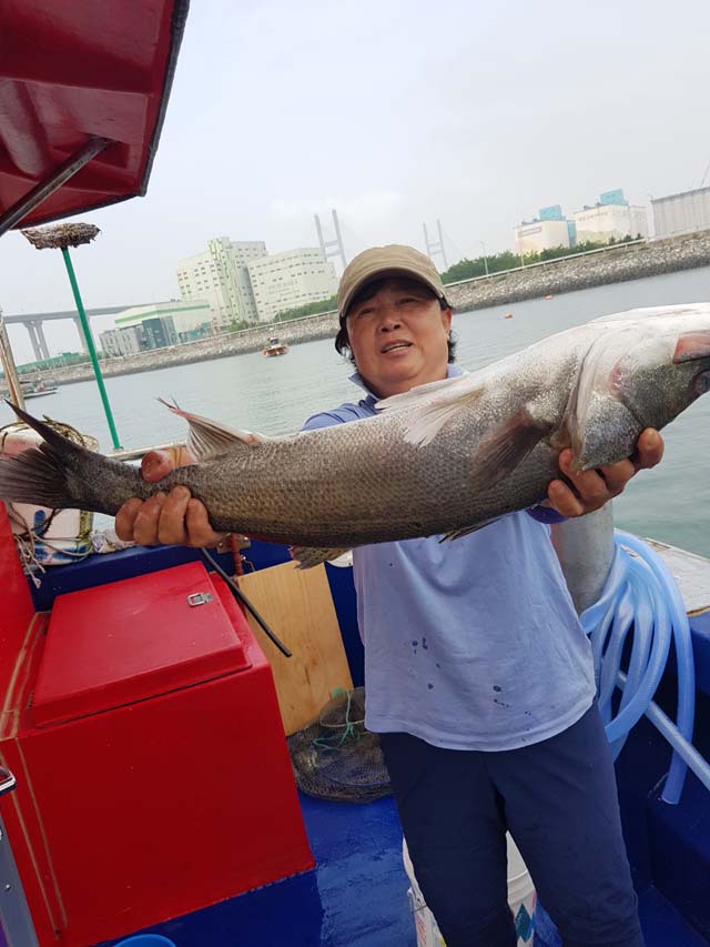 본전낚시 이미지
