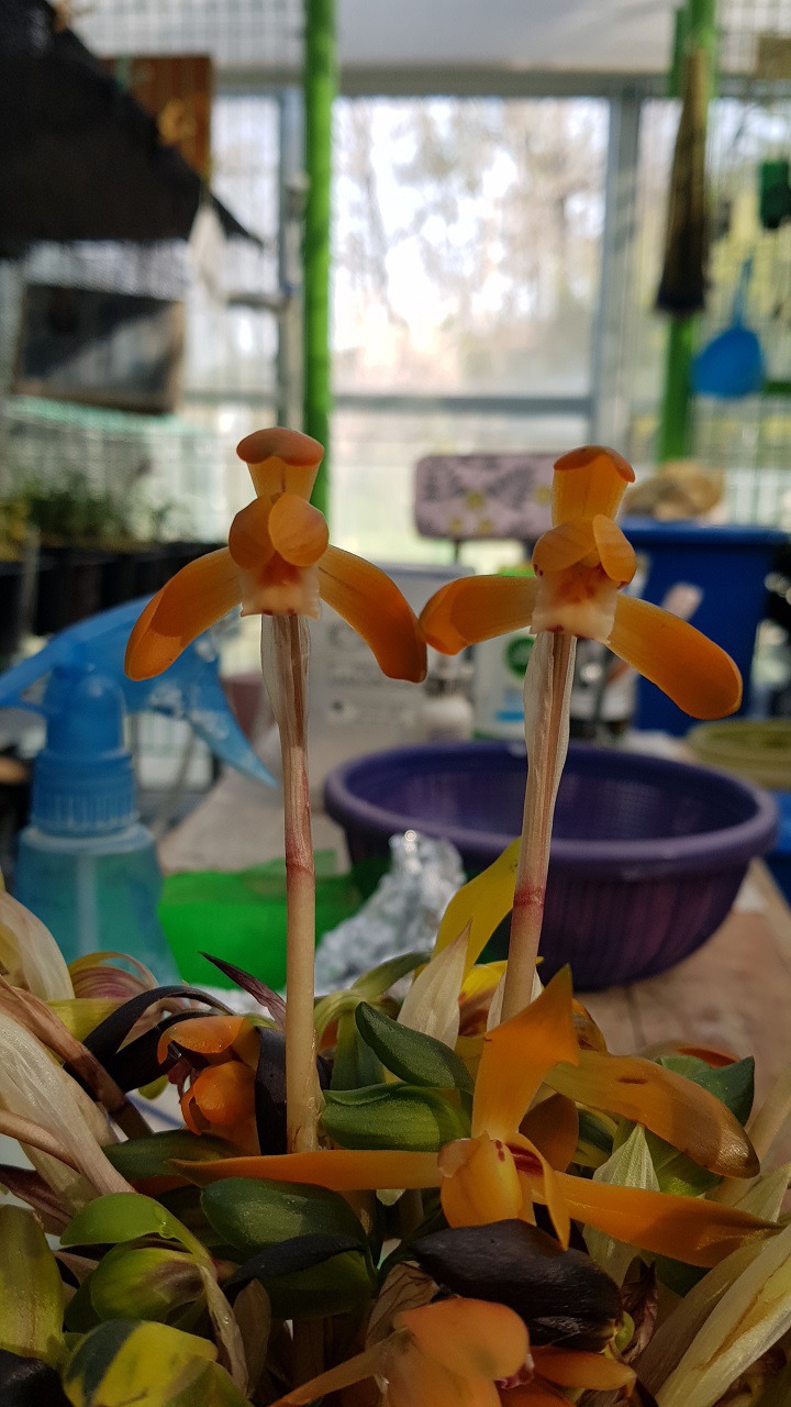 (주)주광 이미지