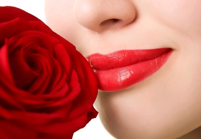 RoseDay 이미지